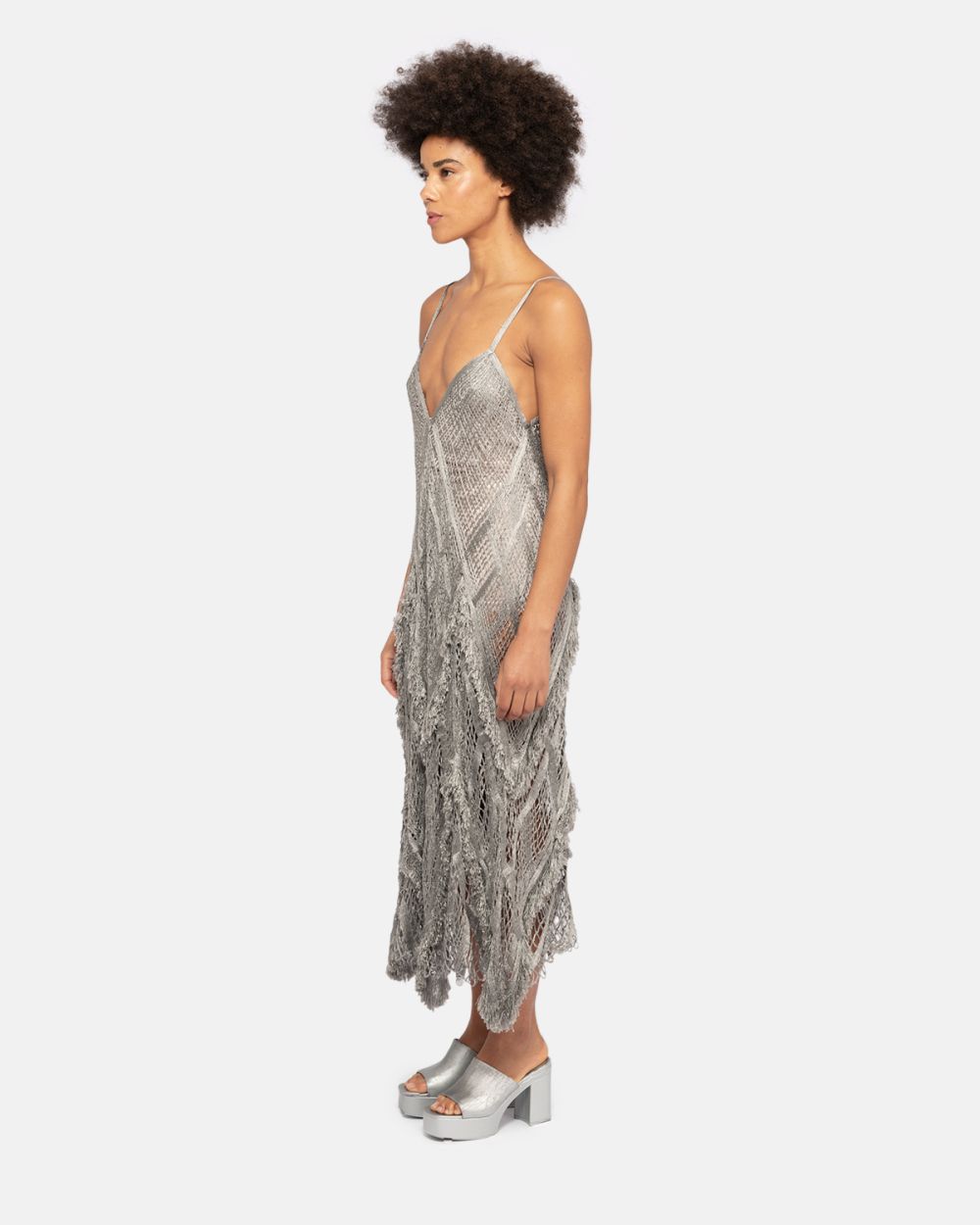 Metallic Fringed Dress